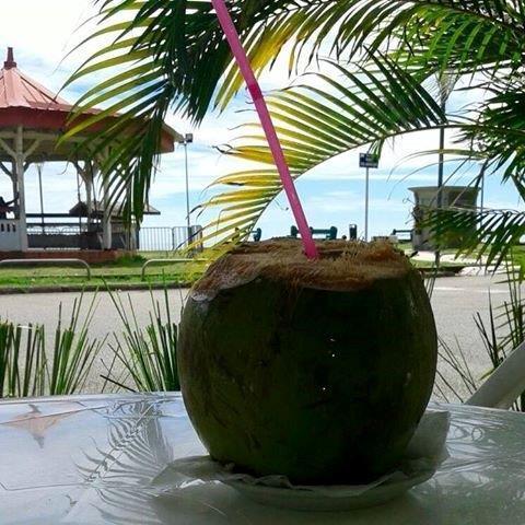 Hotel Des Amandiers Cayenne Luaran gambar