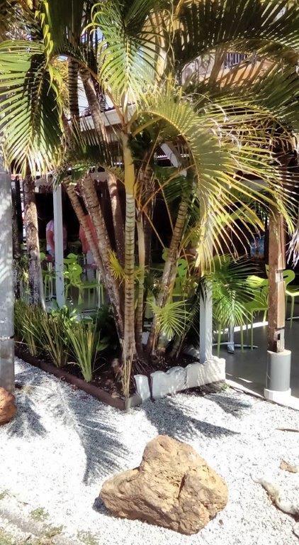 Hotel Des Amandiers Cayenne Luaran gambar